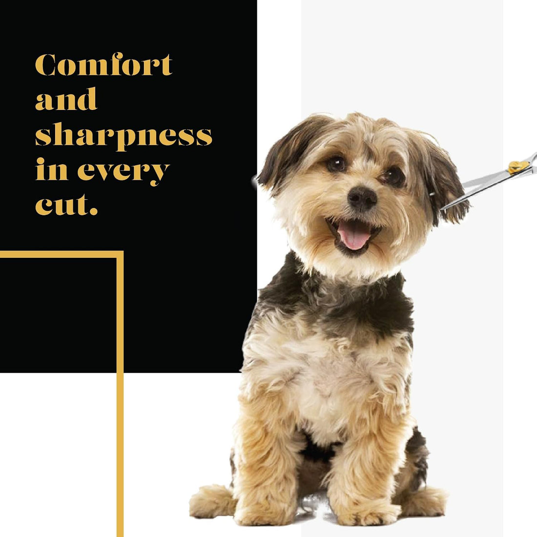 Sharf Gold Touch 440c Japanese Stainless Steal Pet Grooming Shear