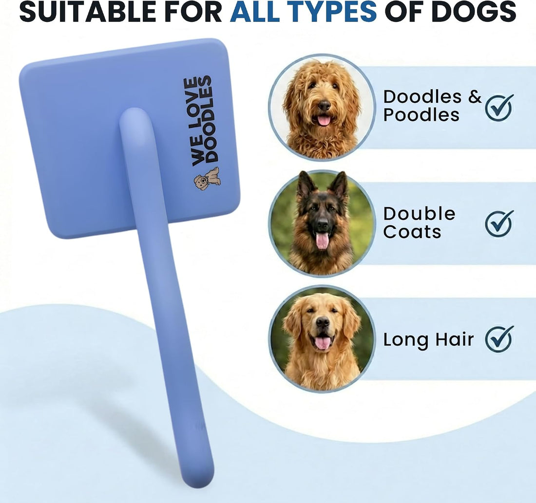 Slicker Brush for Dogs, Dog Grooming Supplies