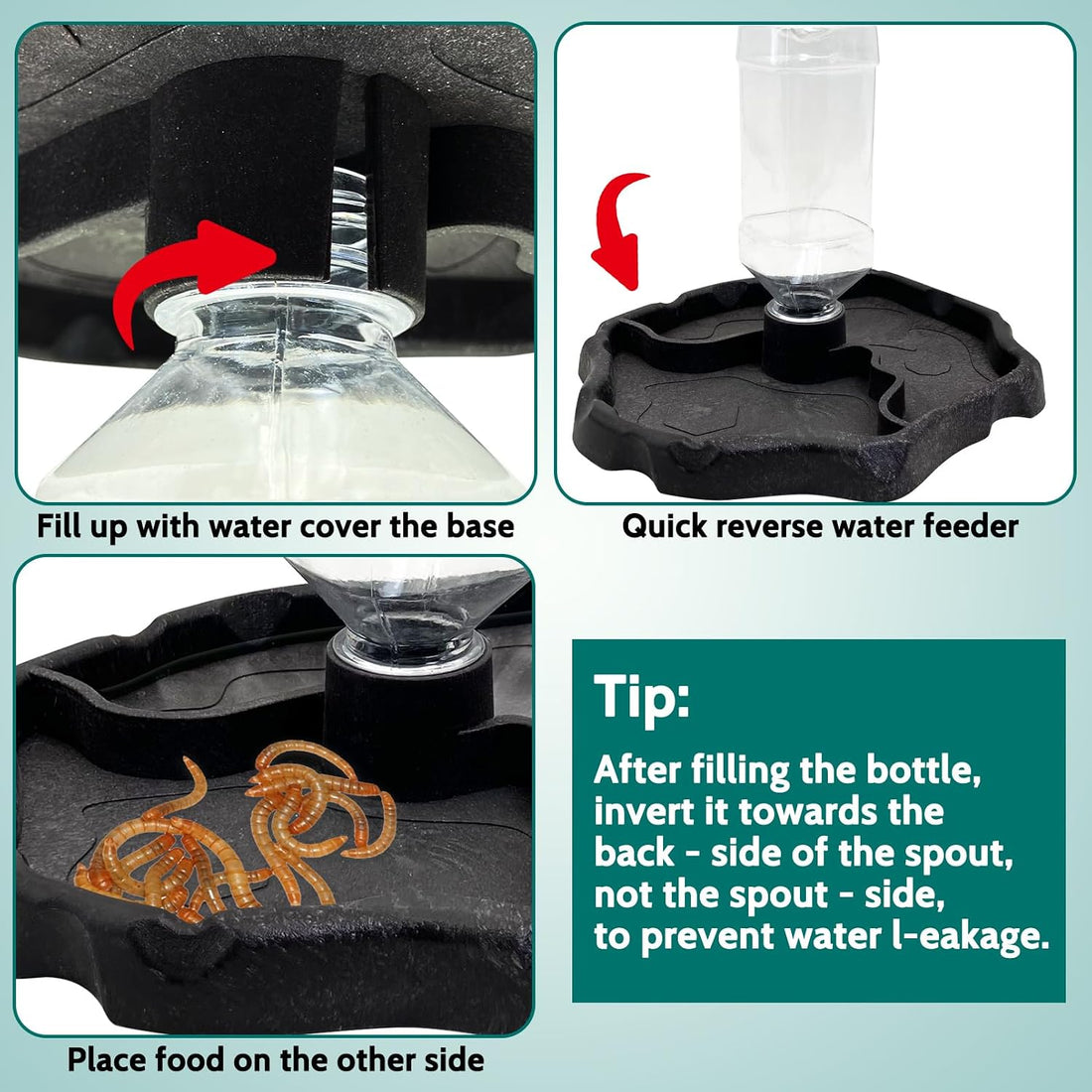 9oz Reptile Water Bottle, Turtle Food and Water Bowl Automatic