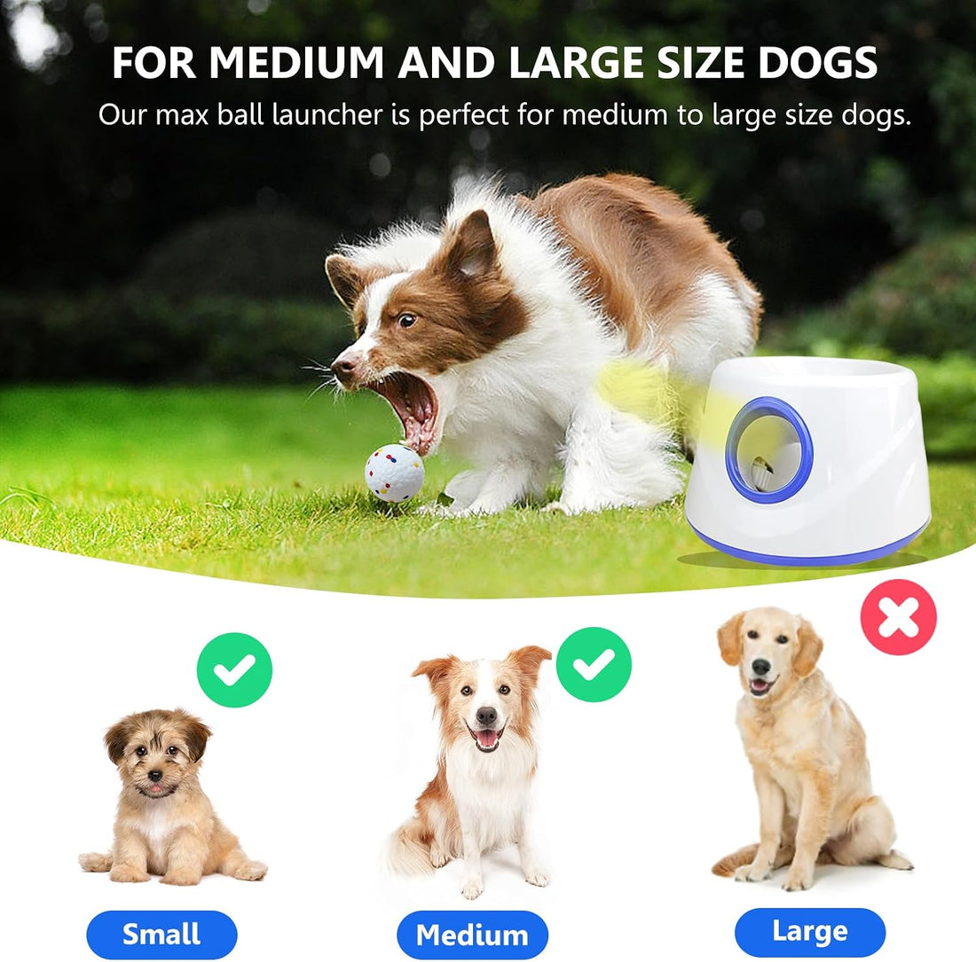 Automatic Dog Ball Launcher, Dog Ball Throw Launcher