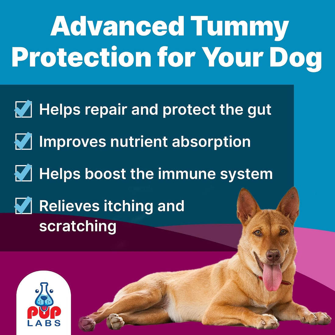 Pup Labs K9 Belly Bliss, All-Natural Gut Health for Dogs