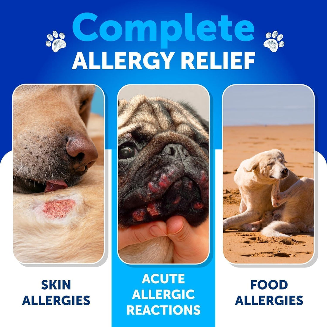 Fish Oil for Dogs - 16 OZ - Salmon Oil for Dogs - Liquid Omega 3