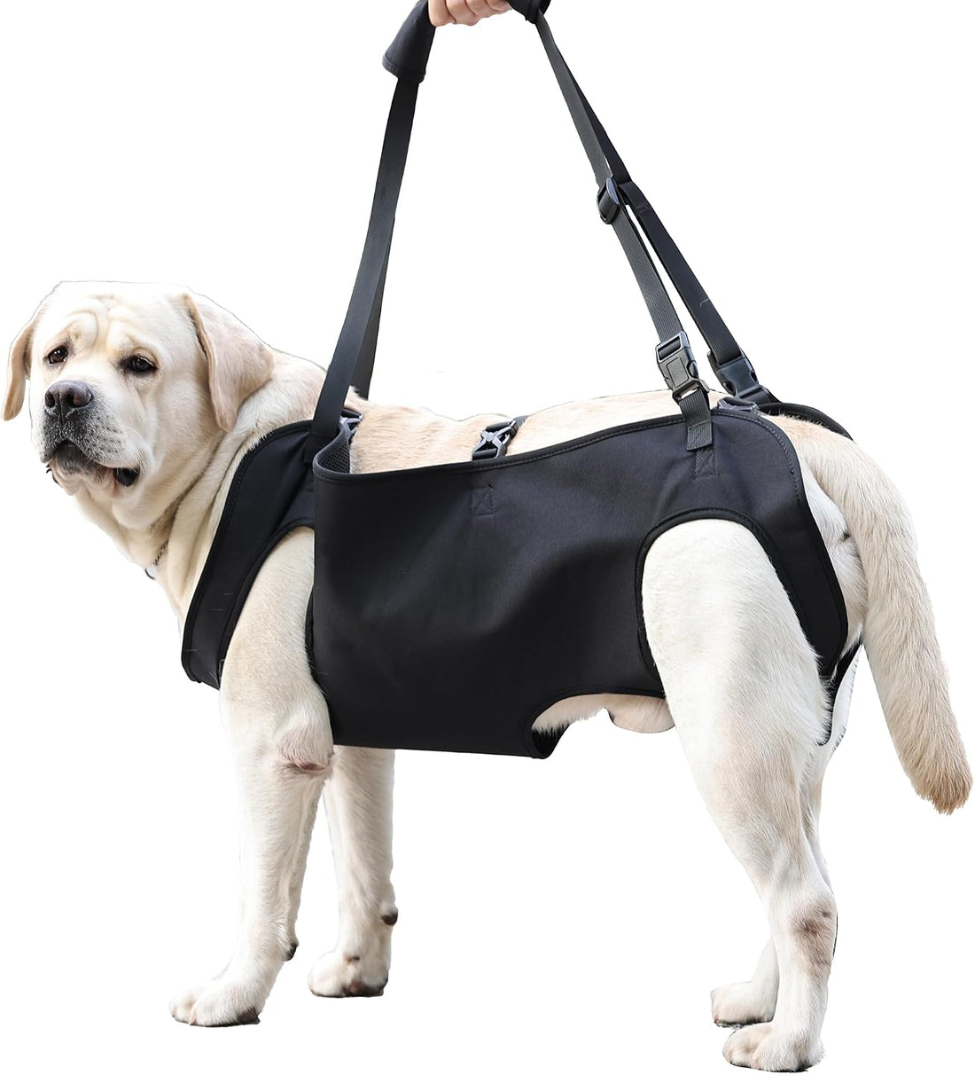 Full Body Lift Harness for Dogs,Canine Support Rehabilitation Dog