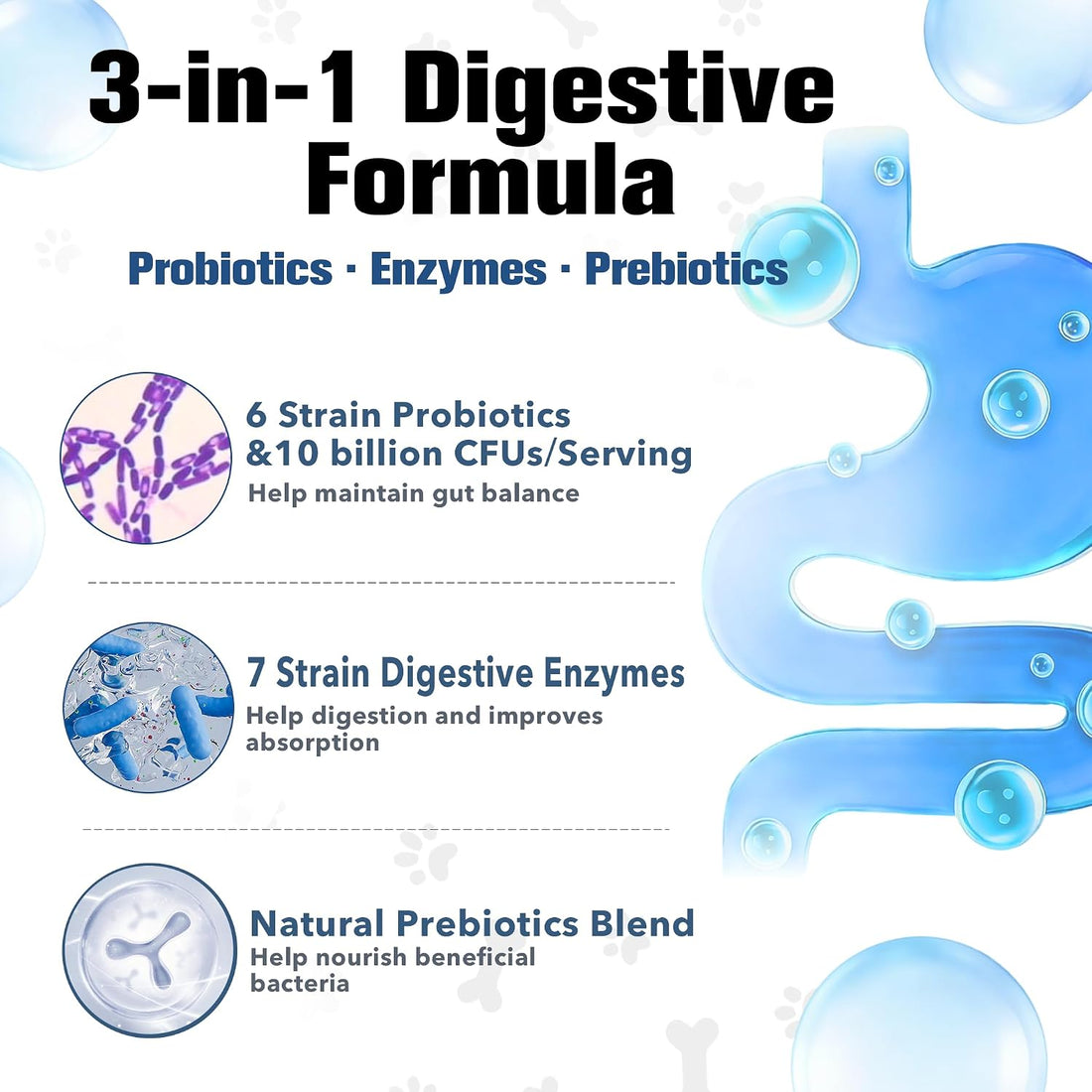 Probiotics for Dogs Digestive Health