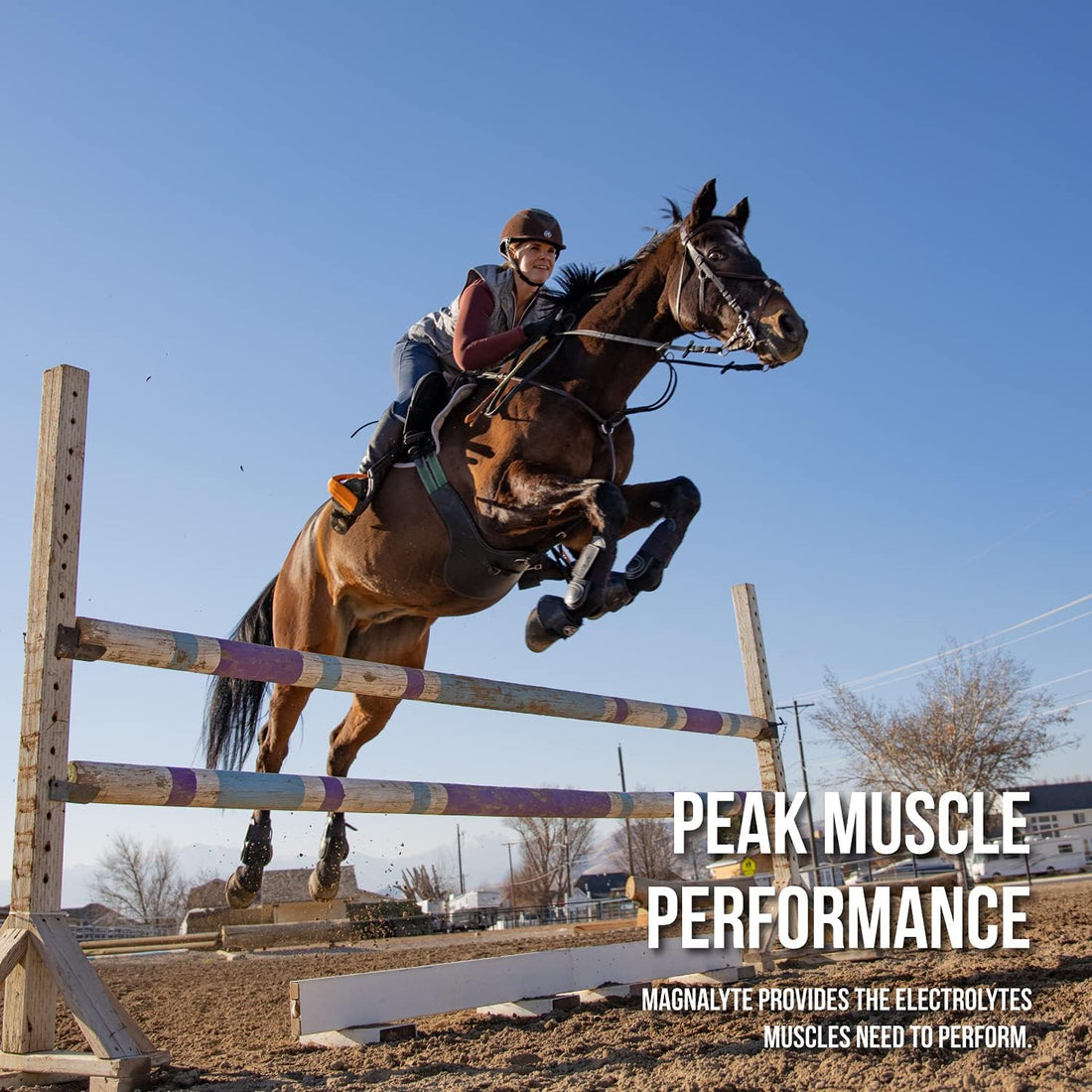 MagnaLyte Loose Salt and Electrolytes for Horses by Eagle Equine