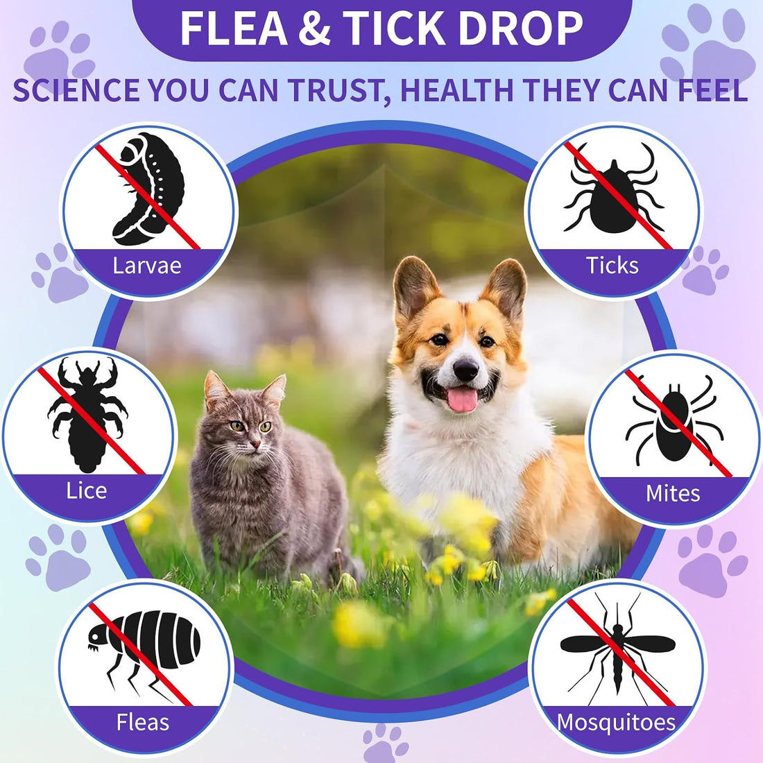 WEALLIN Flea and Tick Support for Dogs and Cats with Multivitamin 60ml