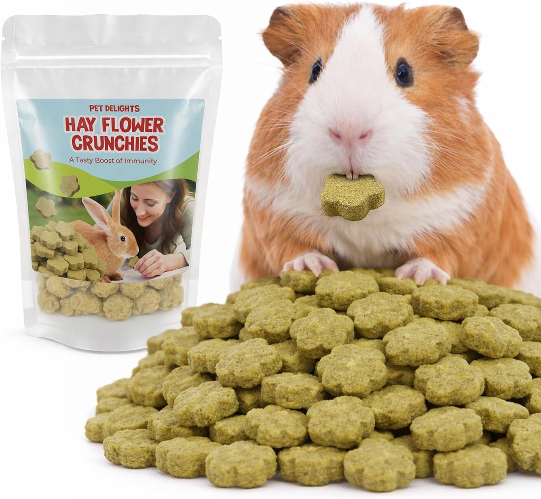 JOR Vitamin C Treats for Rabbits, Chewable Snack for Guinea Pigs