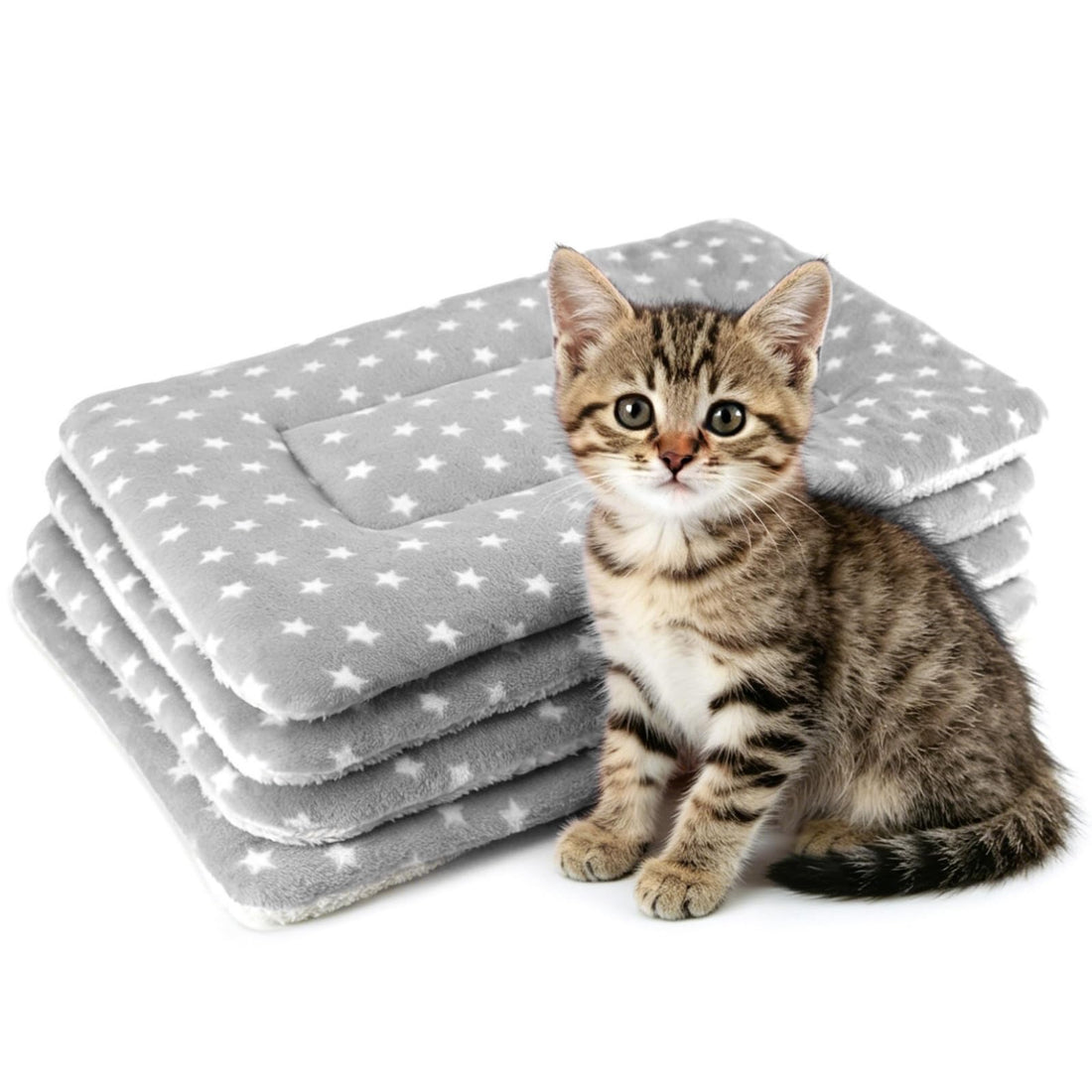 4 Pack Cat Bed Mat, 19" x 13" Soft Fluffy Flannel Small Pet Blanket