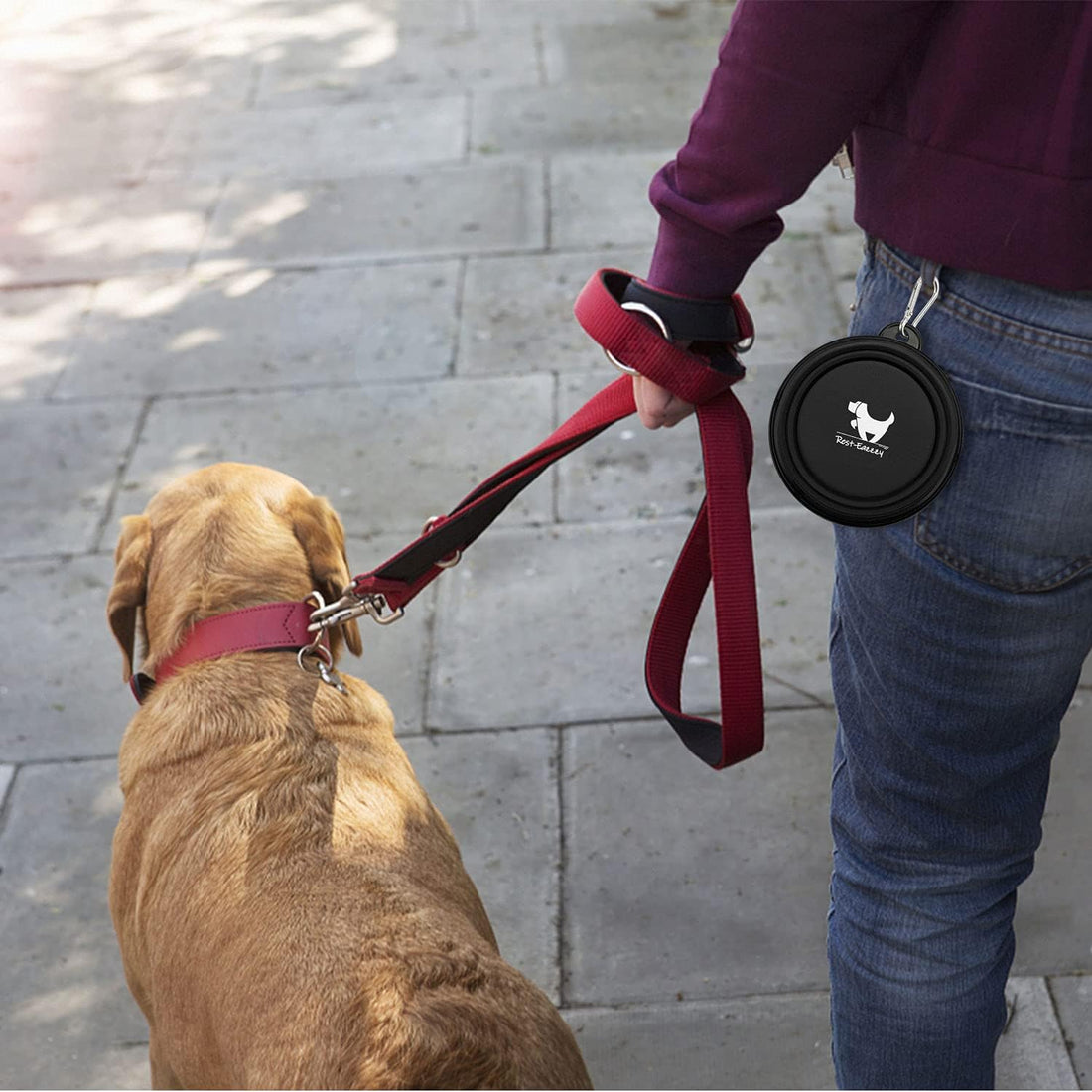 Rest-Eazzzy Collapsible Dog Bowls