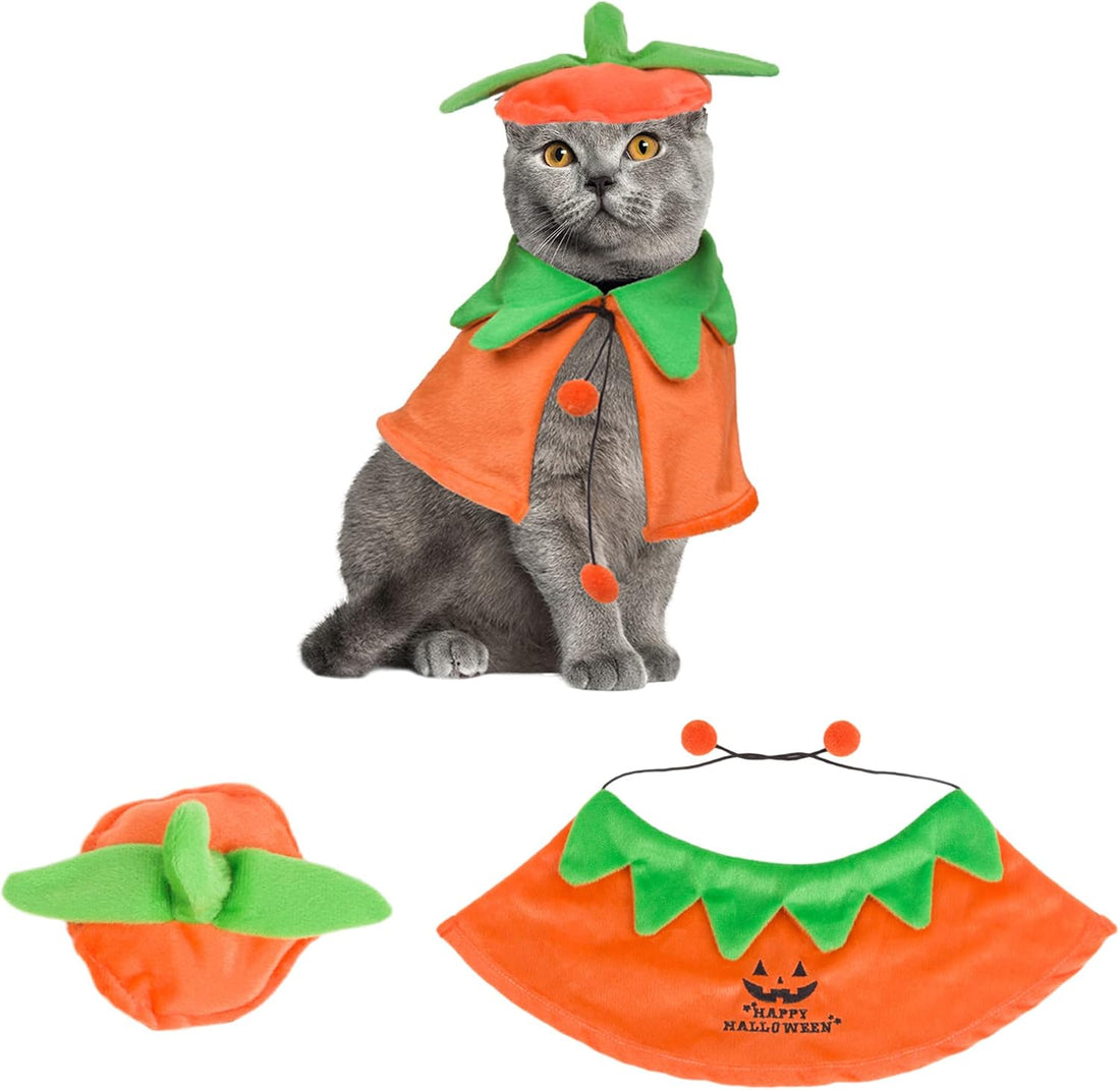 ADOGGYGO Cat Halloween Pumpkin Costume, Halloween Cat Cloak Hat Set