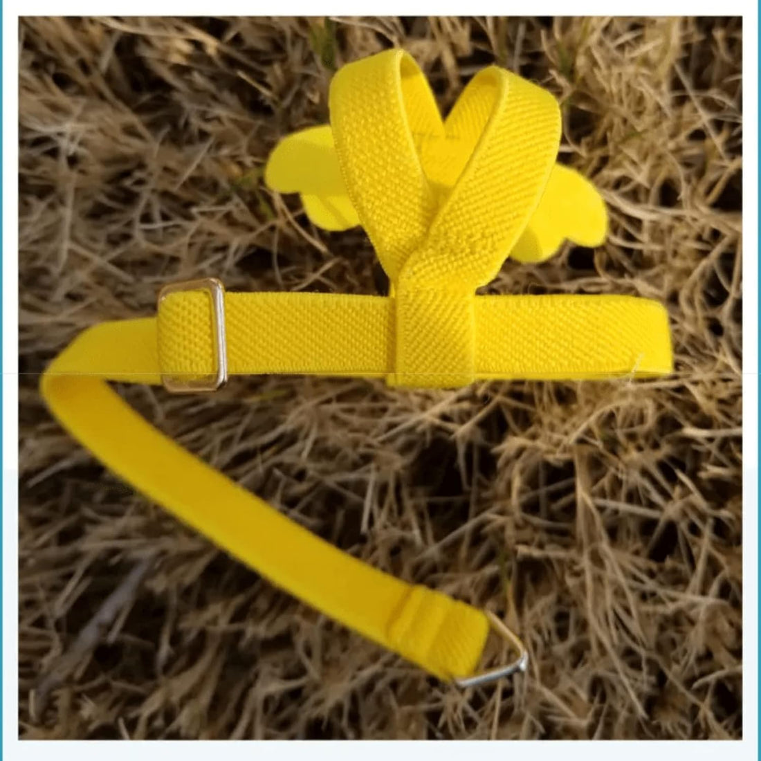 Pet Parrot Bird Harness Leash Adjustable Bird Flying Harness Traction