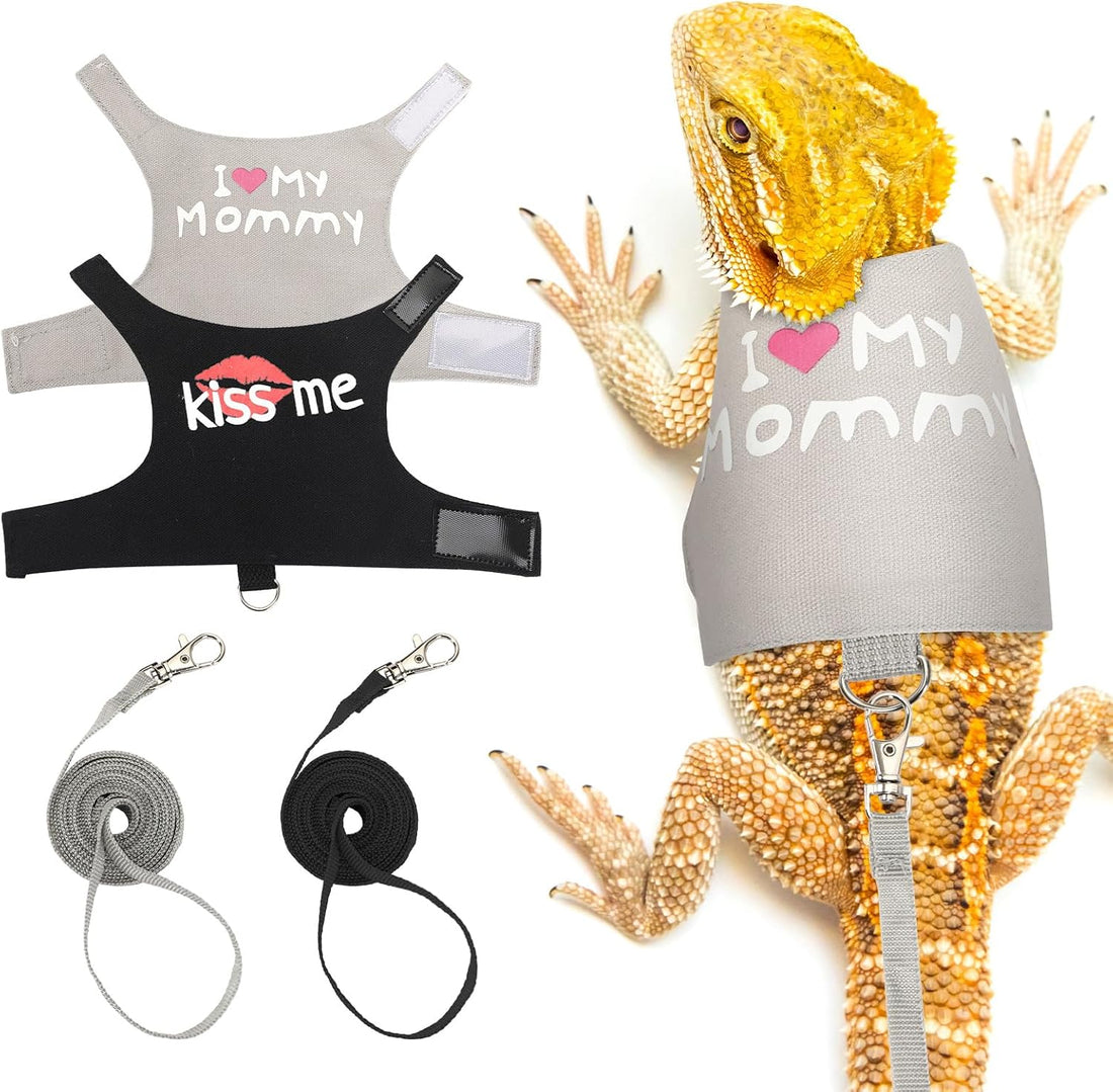 PETKNOWS 2 Pack Bearded Dragon Harness and Leash Set