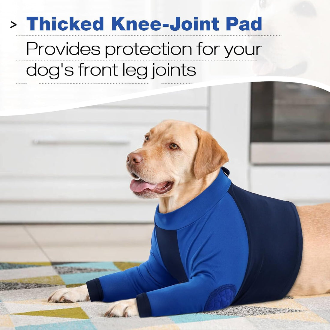 LeLePet Dog Recovery Suit for Front Legs, Dog Sleeve to Stop Licking
