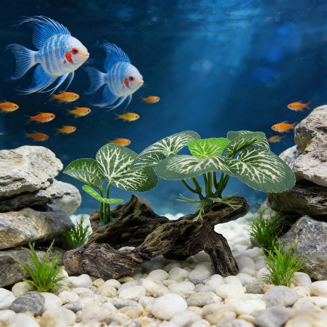 Fish Tank Decor, Aquarium Plants, Reptile Tank Accessories