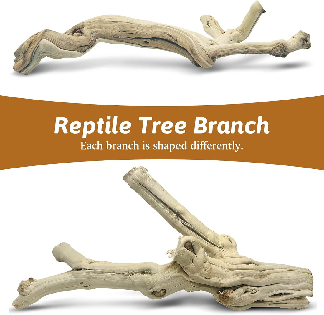 Snake Climbing Branch Wood Enclosure Decor Terrarium Logs