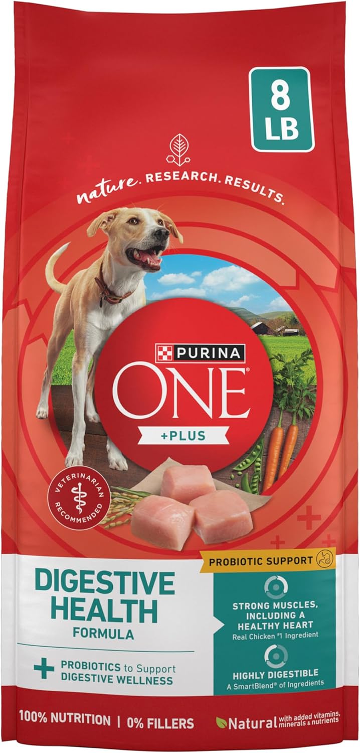 Purina ONE Plus Digestive Health Dry Dog Food, Chicken, 31.1 lb Bag