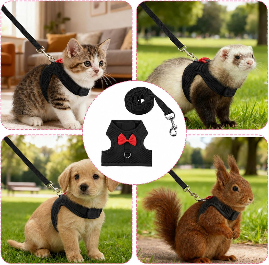 Bunny Harness and Leash Set Cute Bow Rabbit Leash Harness Set Escape