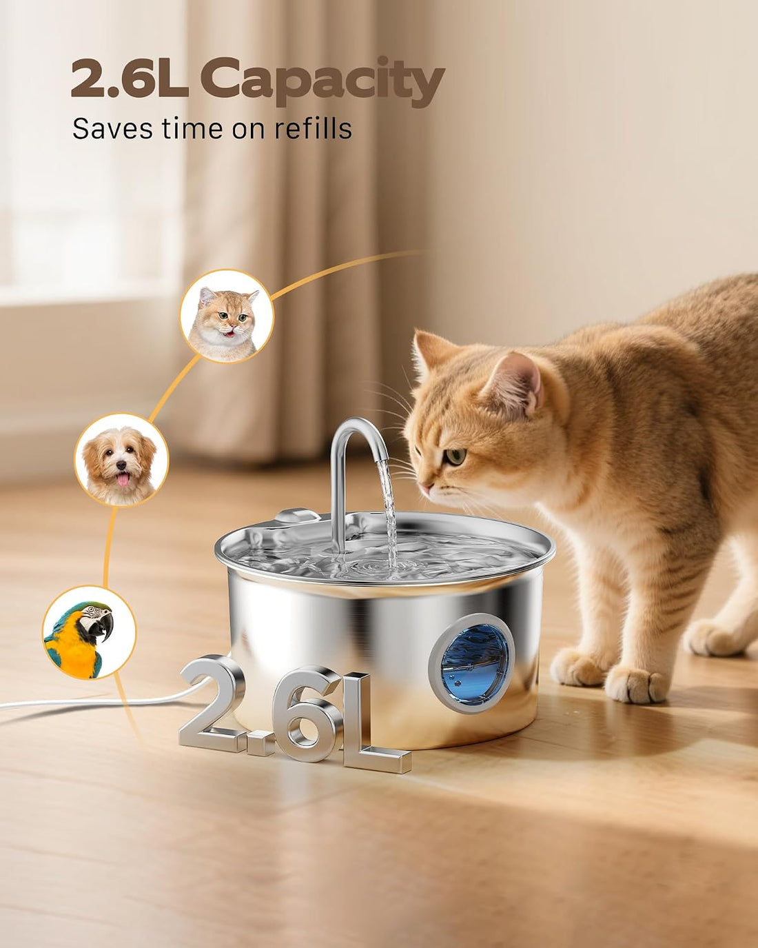 Cat Water Fountain Stainless Steel: Cat Fountain for Drinking