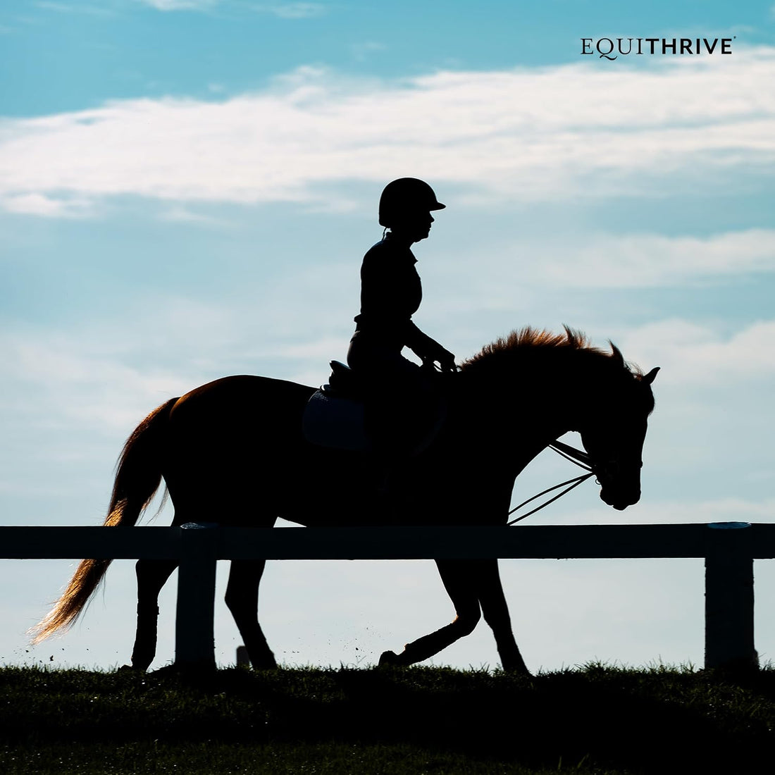 Equithrive Original Joint Pellets Horse Supplement, 1.65 lbs