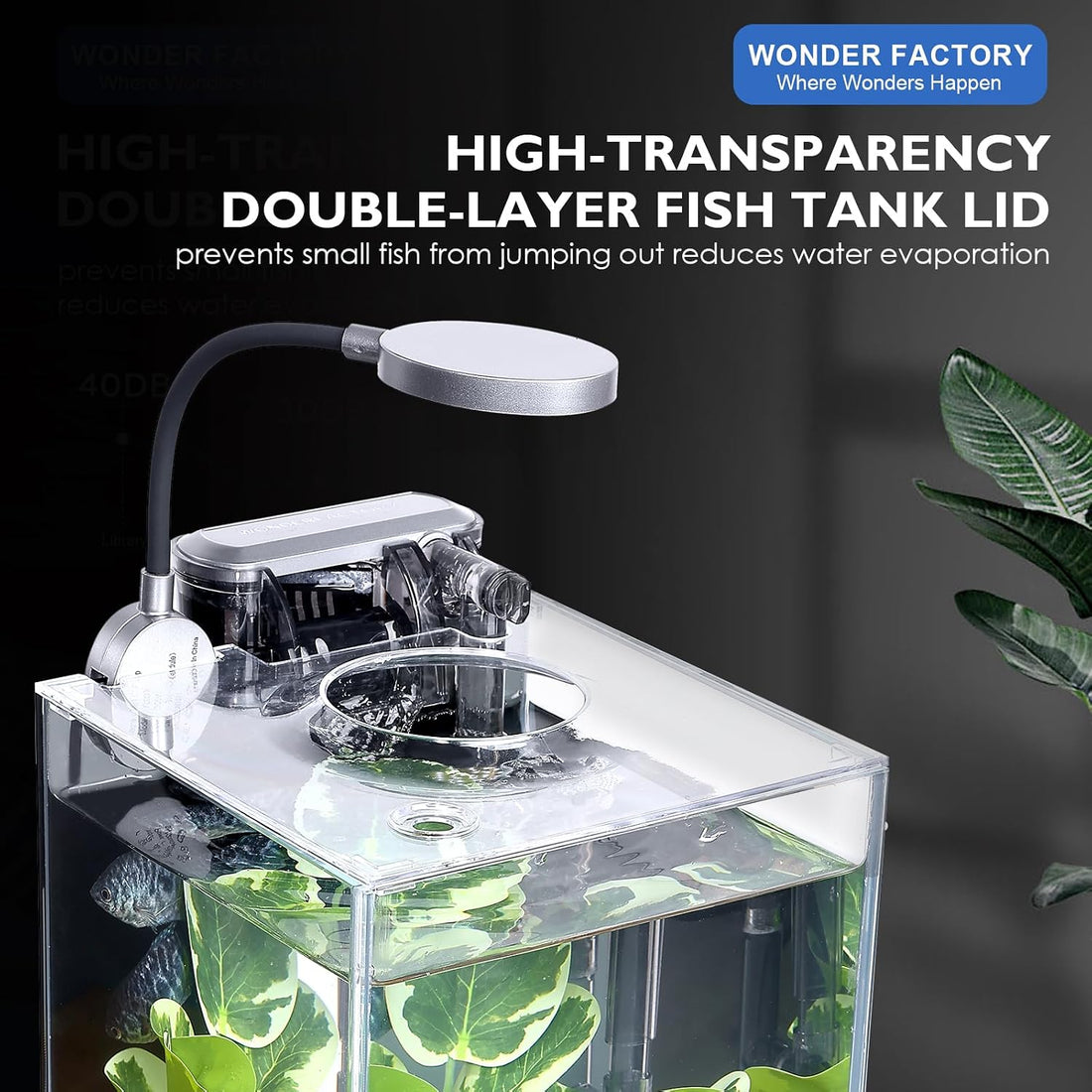 1.25 Gallon Fish Tank Small Glass Aquarium Kit Starter Set Dark
