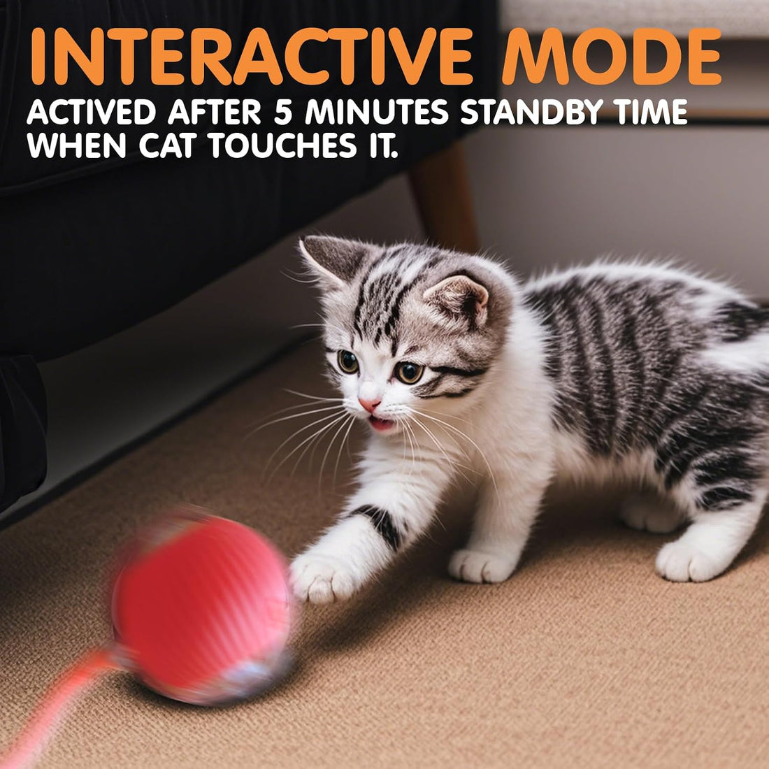 Rocfish Interactive Cat Toys for Indoor Cats, Automatic Cat Ball Toy