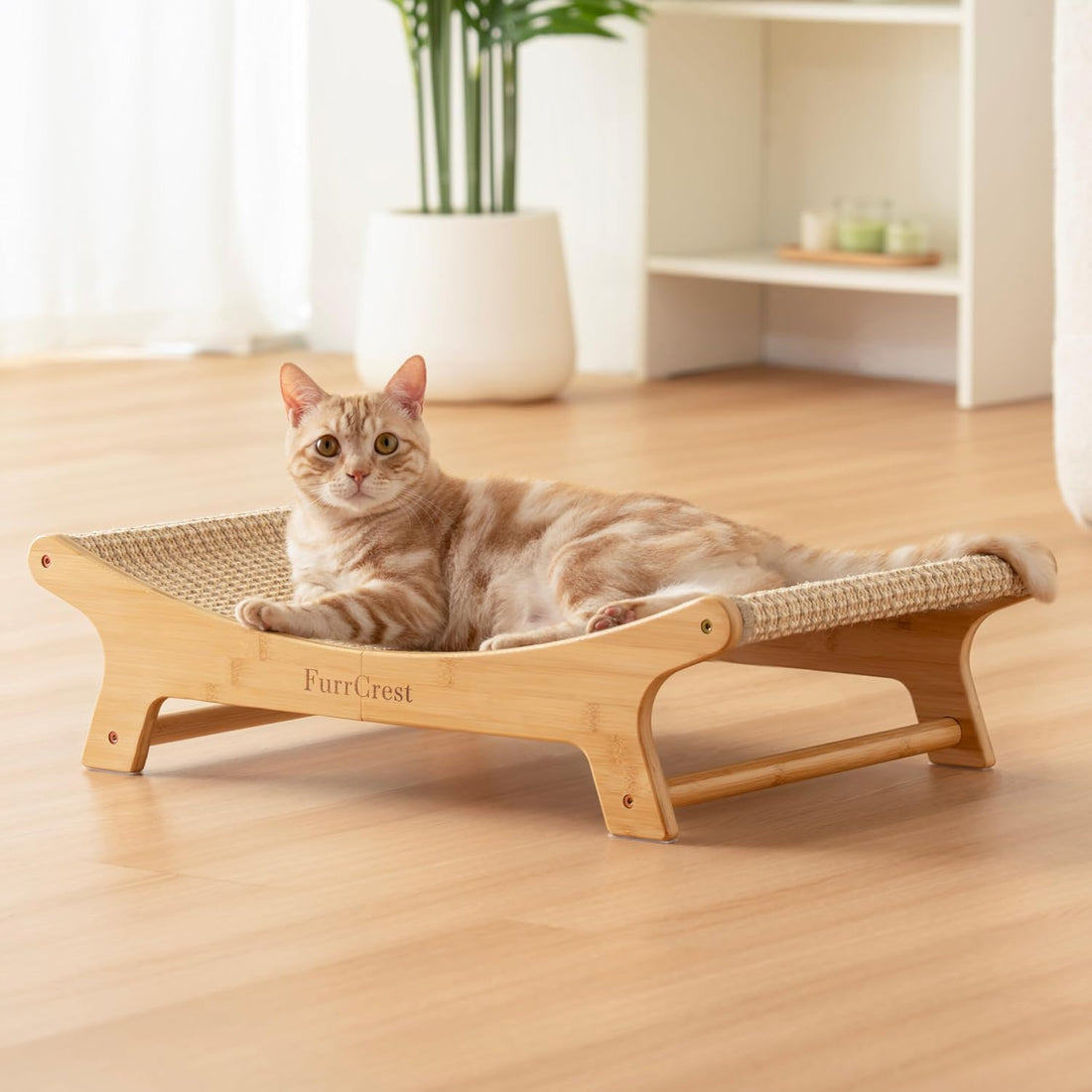 XL Sisal Cat Scratcher Bed with Elevated Hammock for Indoor Cats