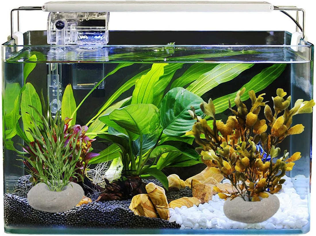 6 Pcs Natural River Stone Plant Weights for Aquarium