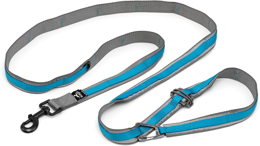Kurgo Quantum 6 in 1 Dog Leash, Purple