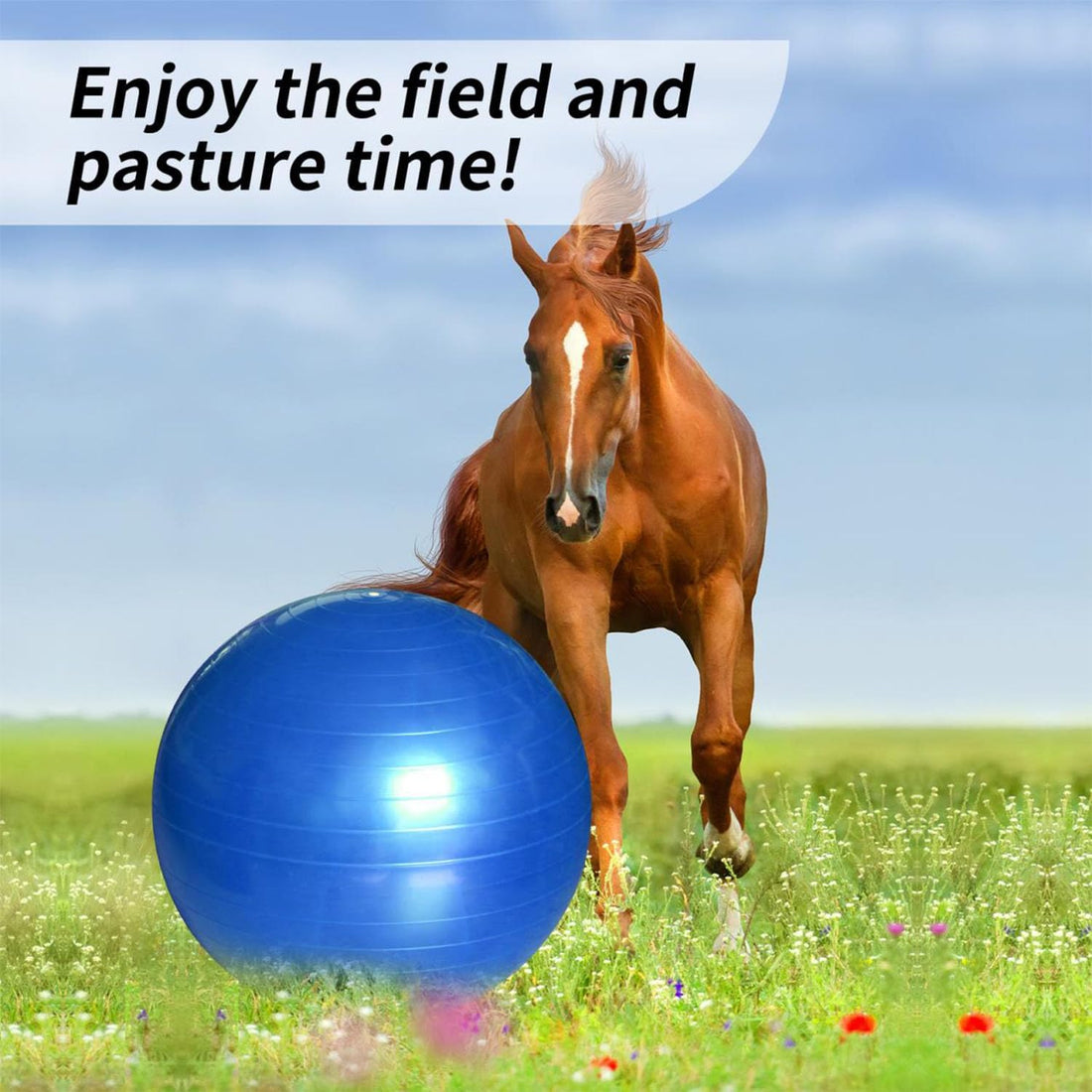 40 Inch Horse Play Ball, Blue