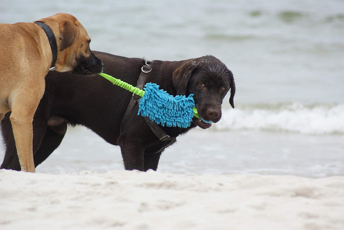 Dingo tug Toy with Handles, Microfiber, Color May Vary 23 in