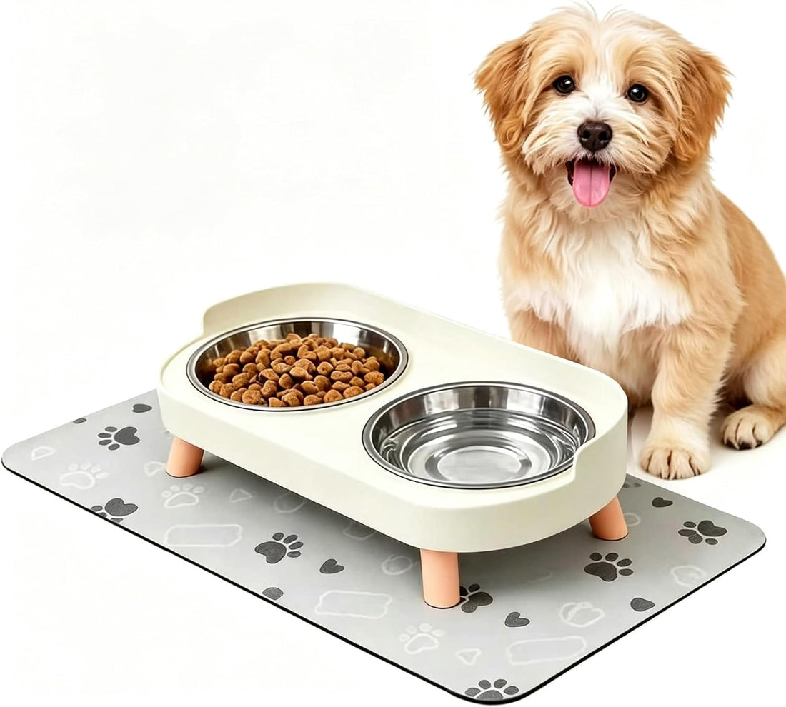 Elevated Dog Bowl, Raised Feeding Stand with Mat for Small Dogs Under