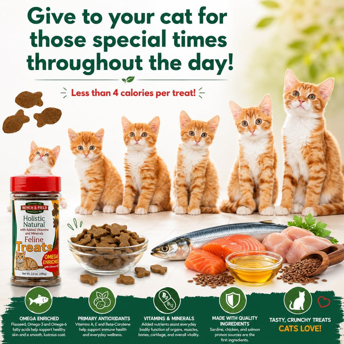 Bench & Field Holistic Natural Healthy Kitty Cat Treats