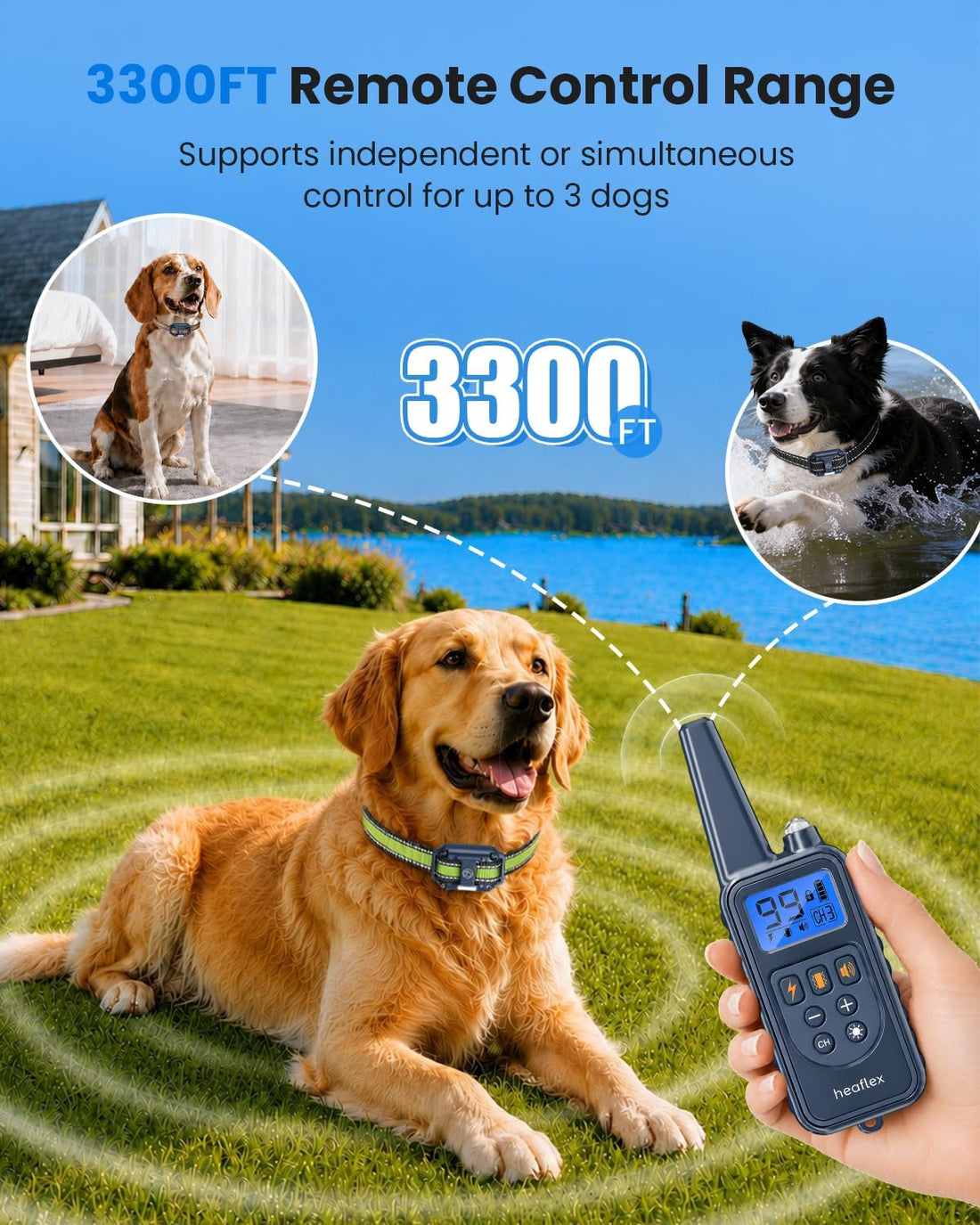 Shock Collar for 3 Dogs, Dog Training Collar with Remote, Rechargeable