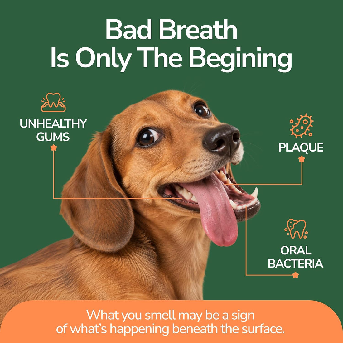 Doggies™ Dental Treats with lactoferrin