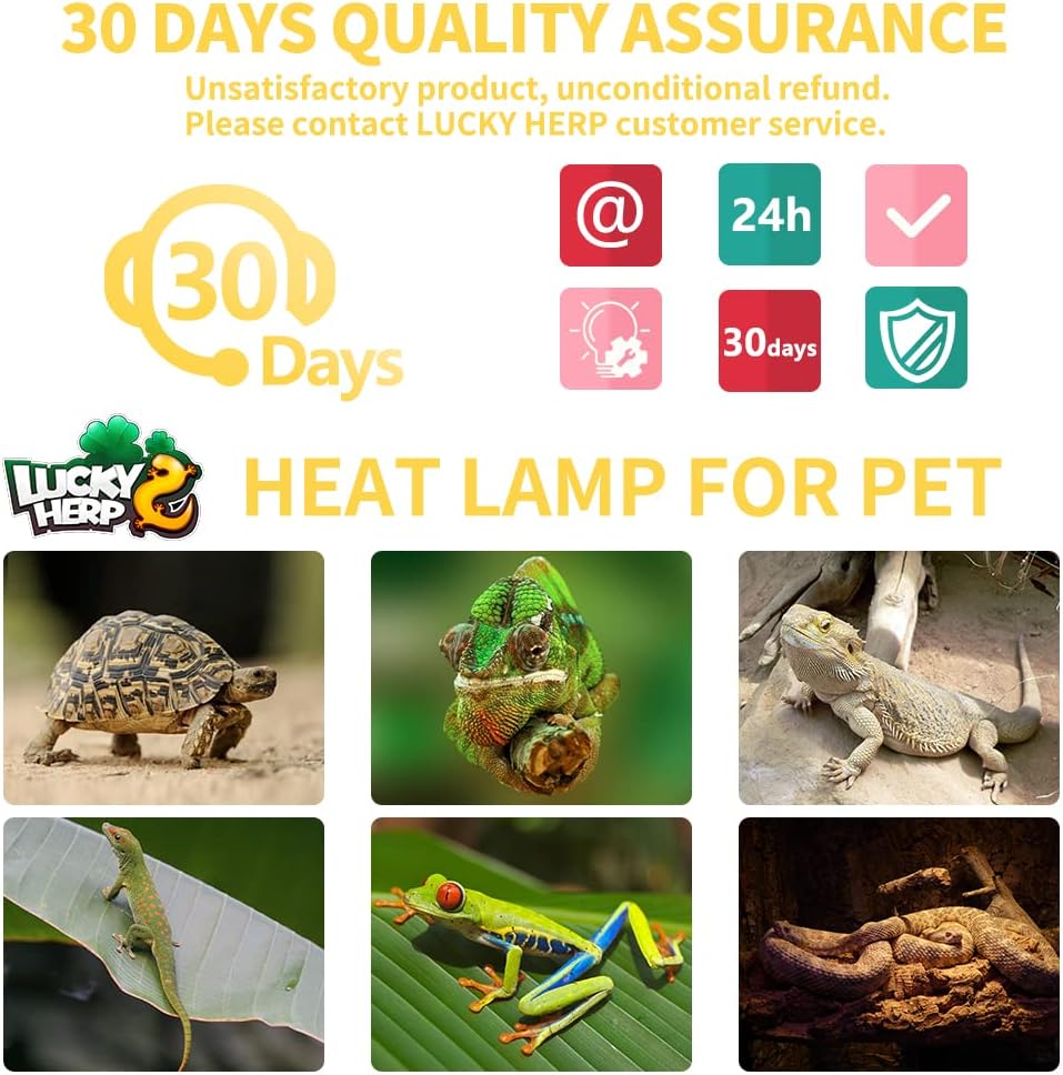 LUCKY HERP New Upgrade 3 Pack 100W Reptile Heat Lamp Bulb