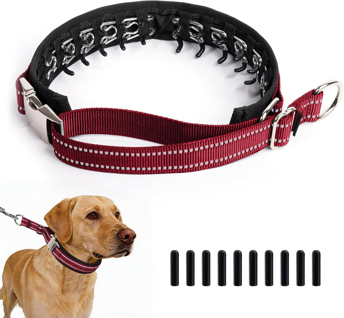 Hidden Prong Collar, Adjustable Martingale Design, M