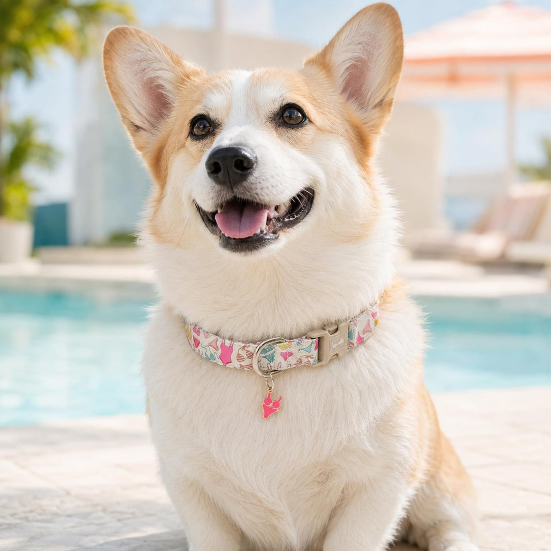 Cute Summer Beach Dog Collar for Girls, Bikini Print XS