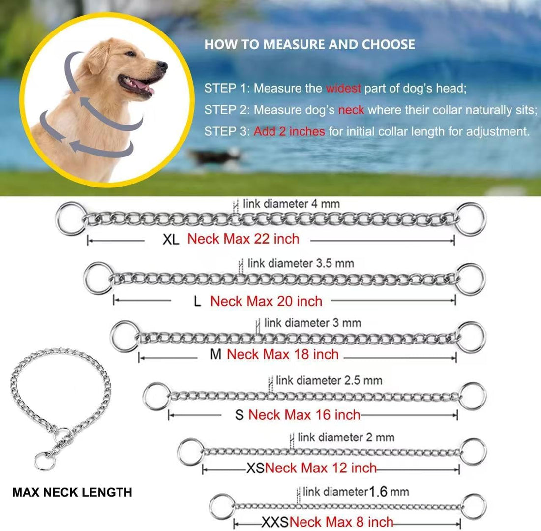 Martingale Dog Collar for Small Dogs