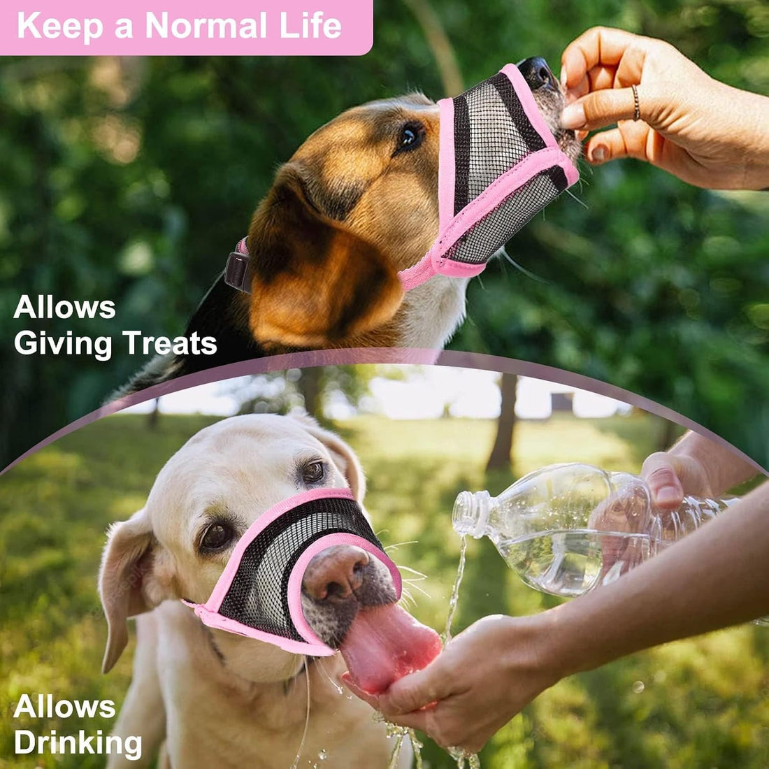 LUCKYPAW Mesh Dog Muzzle for Small Medium Dogs to Prevent Biting