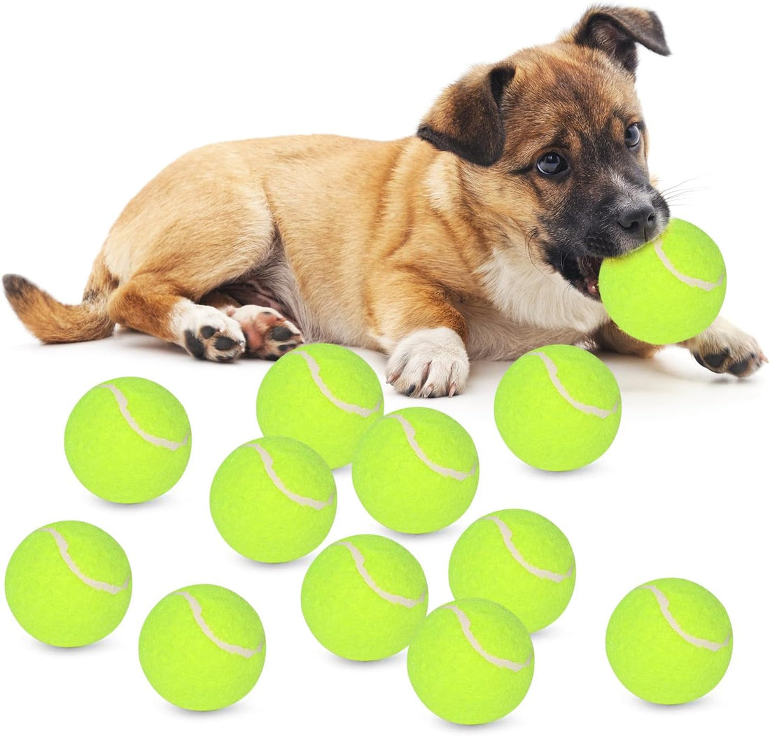 Automatic Dog Ball Launcher, 6 ETPU Balls, 20-45ft Distance