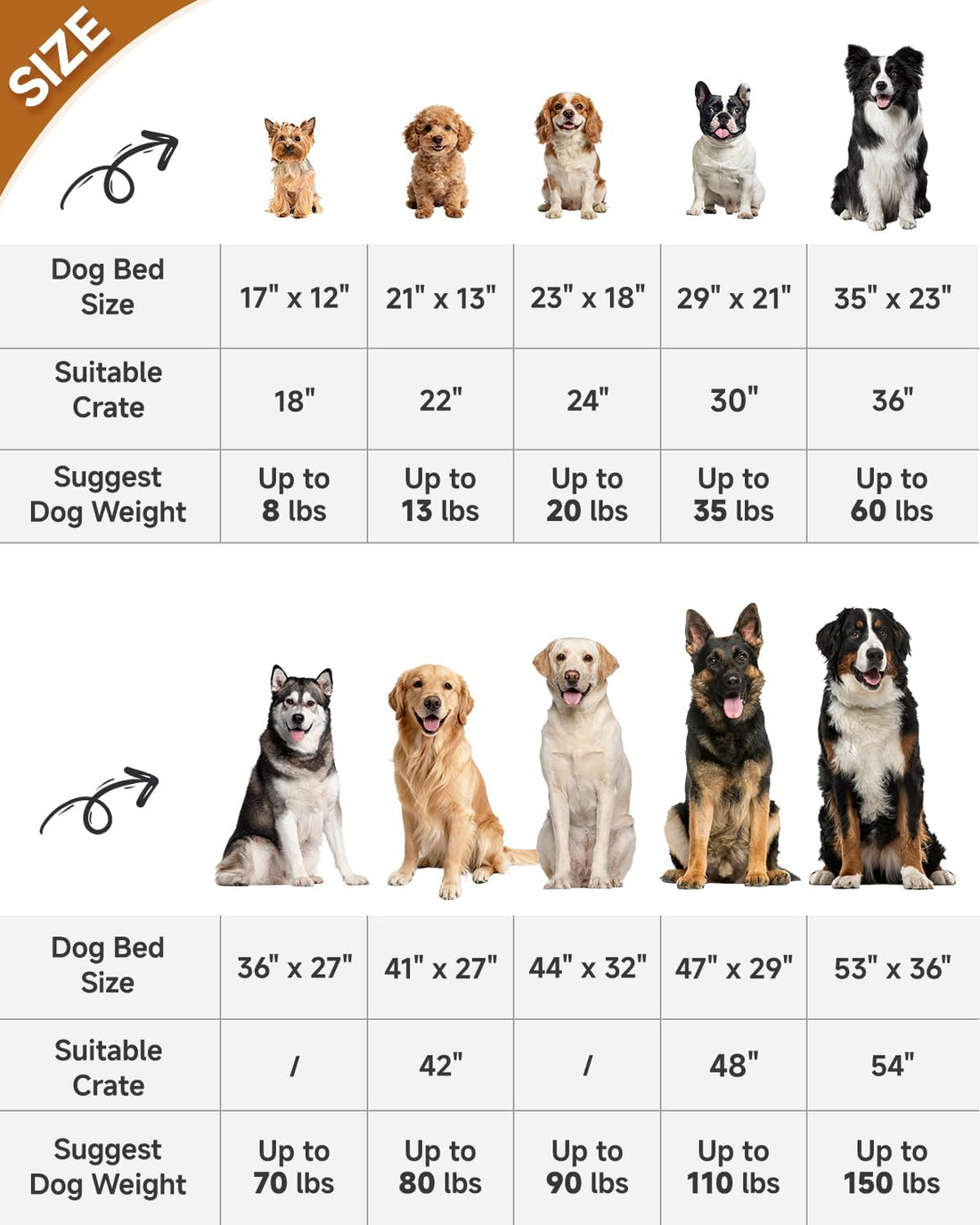 KSIIA Washable Dog Bed Medium Size Dog Crate Bed Plush Pet Mat