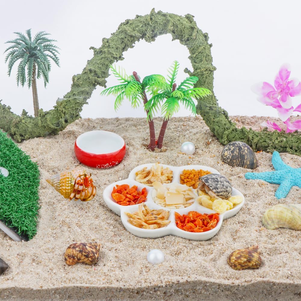 DQITJ 2 Pcs Hermit Crab Ceramic Food Dish