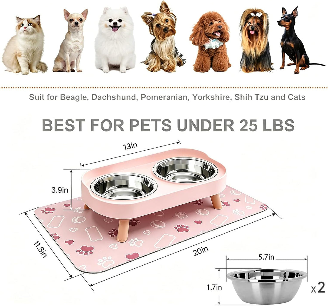 Elevated Dog Bowl, Raised Feeding Stand with Mat for Small Dogs Under