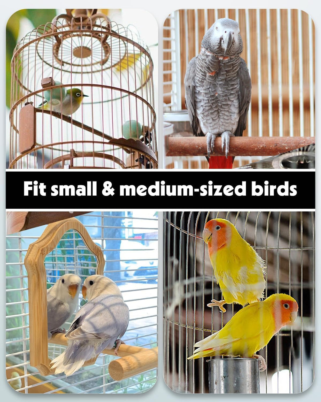Pawfly Auto Bird Waterer, 2-Pack Cage Dispenser Feeder for Parrots
