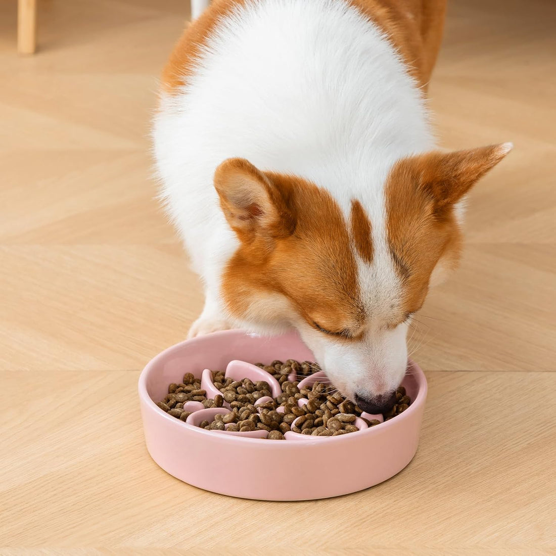 vancasso Ceramic Slow Feeder Dog Bowls