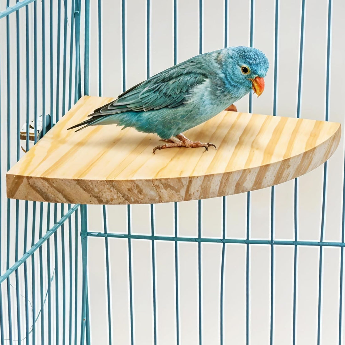 Bird Perch Platform Stand Wooden Parrot Perch Corner 6.7 Inches Fan