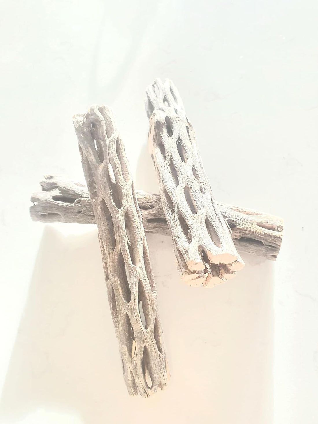 Hexagrowth Cholla Wood Shrimp Hideout, Habitat for Fish, Toy for Gecko