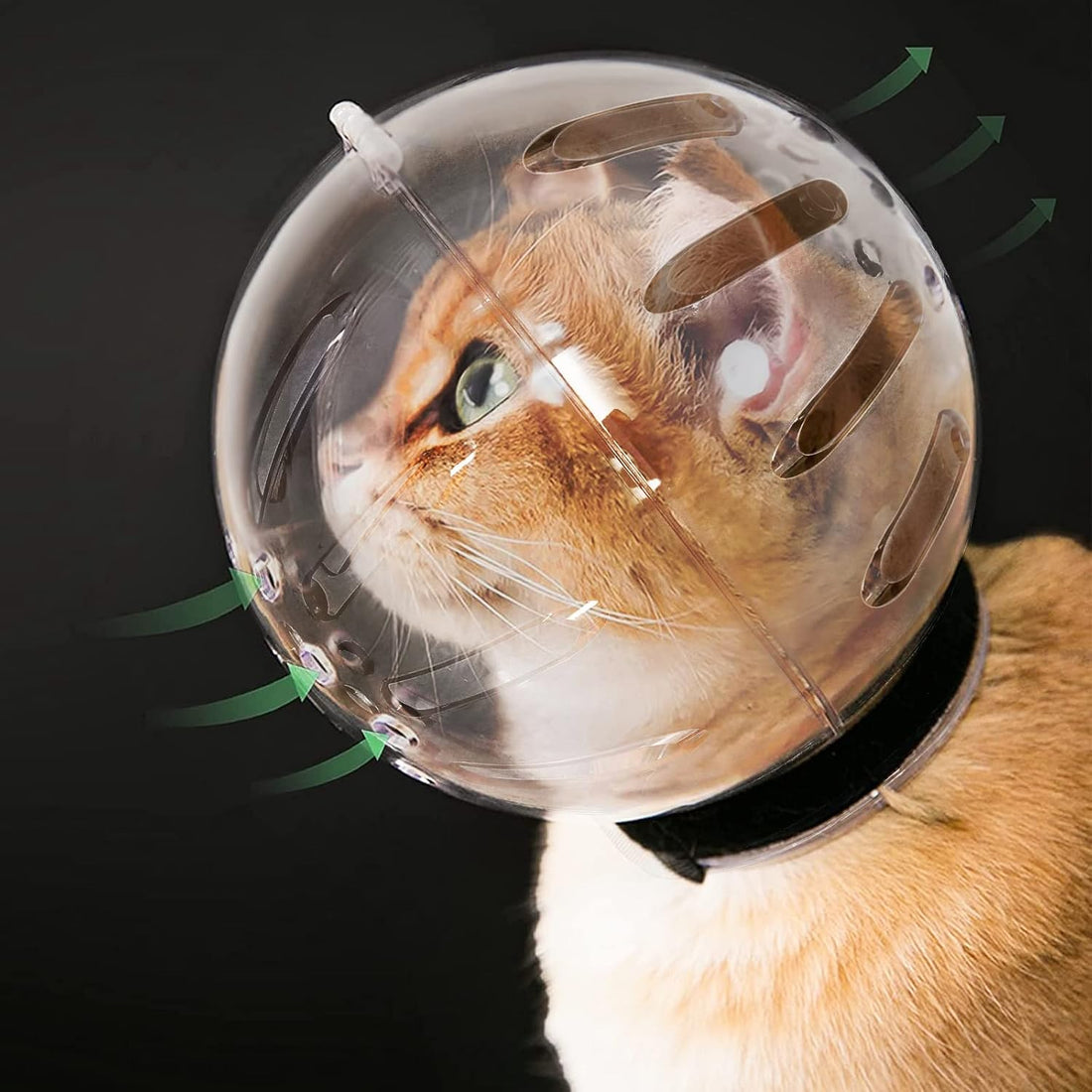 Cat Transparent Muzzle with Breathable Hood, Adjustable Kitten Helmet