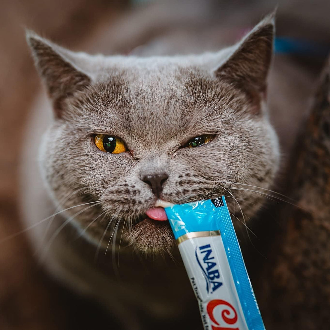 INABA Churu Cat Treats, Grain-Free, Lickable