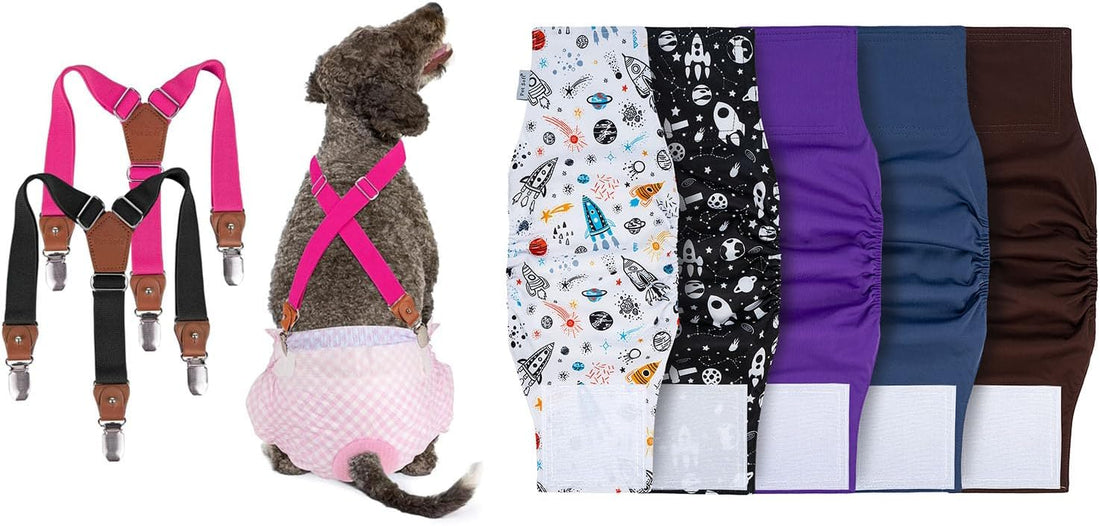 Pet Soft Dog Belly Bands Space M + Dog Suspenders 2 Pieces M